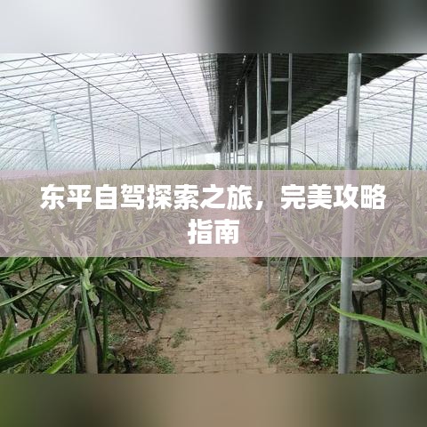 东平自驾探索之旅,完美攻略指南