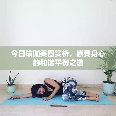 今日瑜伽美图赏析，感受身心的和谐平衡之道