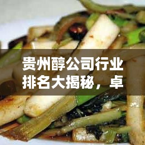 贵州醇公司行业排名大揭秘，卓越地位引领行业风向标！