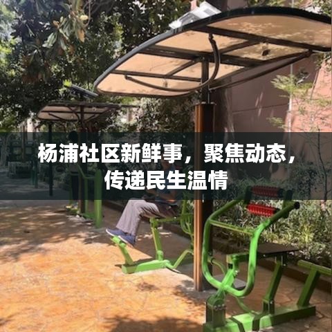 贵而贱目 第7页