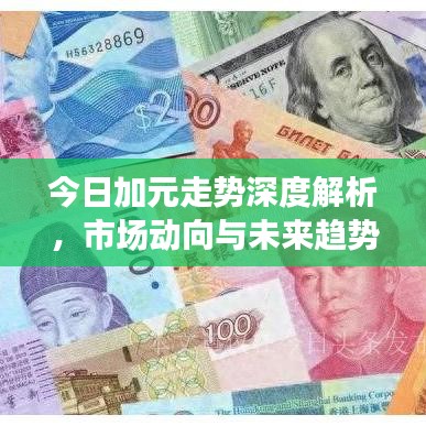 今日加元走势深度解析，市场动向与未来趋势展望