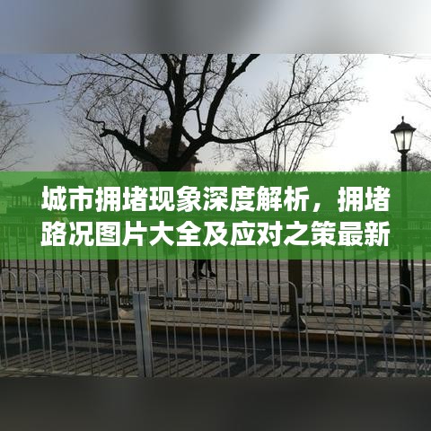 如翚斯飞 第7页