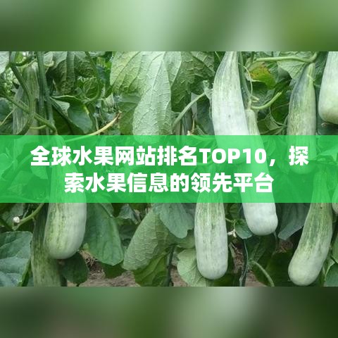 全球水果网站排名TOP10，探索水果信息的领先平台