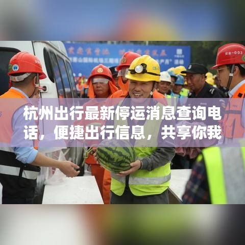 杭州出行最新停运消息查询电话,便捷出行信息,共享你我生活