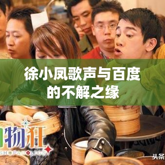 徐小凤歌声与百度的不解之缘