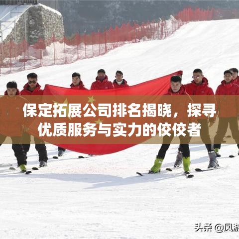 保定拓展公司排名揭晓，探寻优质服务与实力的佼佼者
