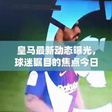 皇马最新动态曝光，球迷瞩目的焦点今日晒票