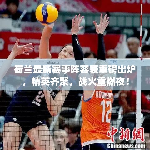 荷兰最新赛事阵容表重磅出炉，精英齐聚，战火重燃夜！