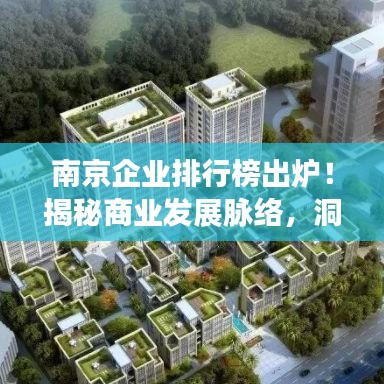 南京企业排行榜出炉！揭秘商业发展脉络，洞悉南京商业崛起之路 2017版