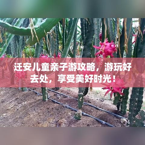 迁安儿童亲子游攻略，游玩好去处，享受美好时光！