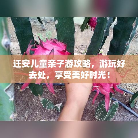 迁安儿童亲子游攻略,游玩好去处,享受美好时光!