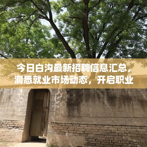 今日白沟最新招聘信息汇总，洞悉就业市场动态，开启职业新旅程