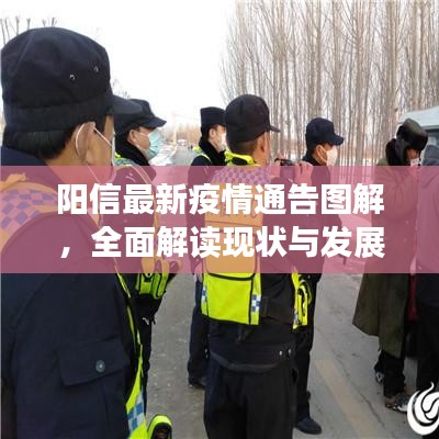 阳信最新疫情通告图解，全面解读现状与发展趋势