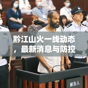 黔江山火一线动态，最新消息与防控措施更新