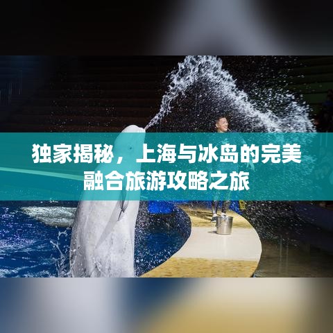 独家揭秘，上海与冰岛的完美融合旅游攻略之旅