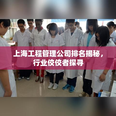上海工程管理公司排名揭秘，行业佼佼者探寻