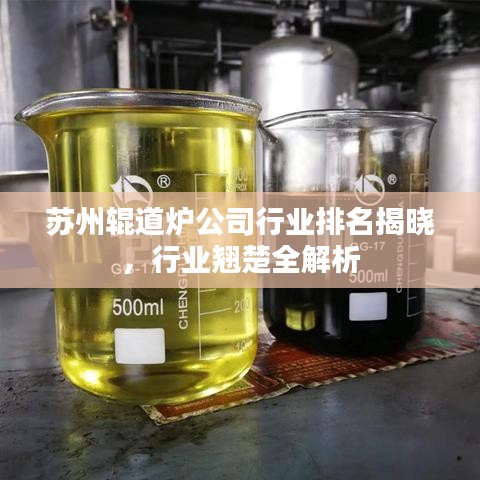 苏州辊道炉公司行业排名揭晓，行业翘楚全解析