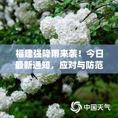 福建强降雨来袭！今日最新通知，应对与防范攻略大揭秘
