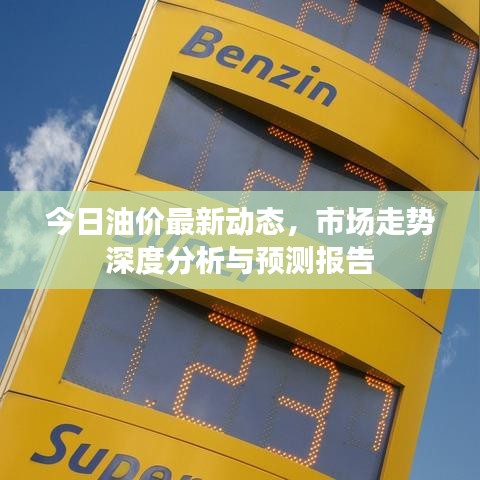 今日油价最新动态，市场走势深度分析与预测报告