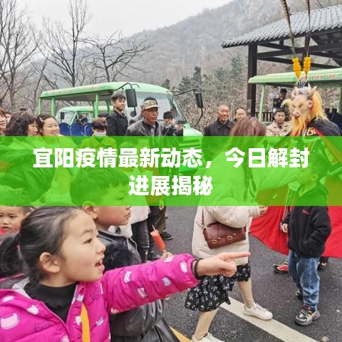 宜阳疫情最新动态，今日解封进展揭秘