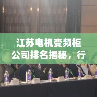 江苏电机变频柜公司排名揭秘，行业领军者的成功奥秘探索