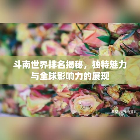 斗南世界排名揭秘，独特魅力与全球影响力的展现
