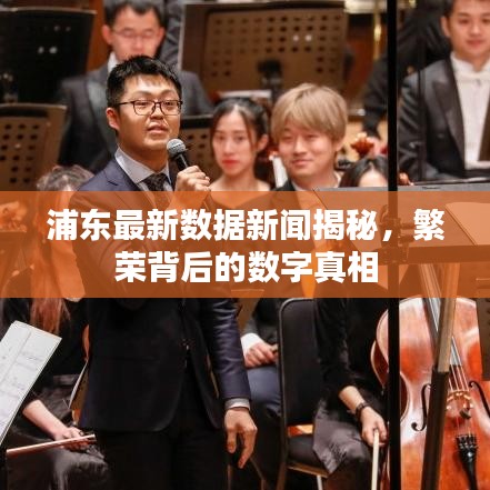 浦东最新数据新闻揭秘，繁荣背后的数字真相