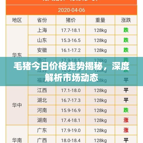 毛猪今日价格走势揭秘，深度解析市场动态