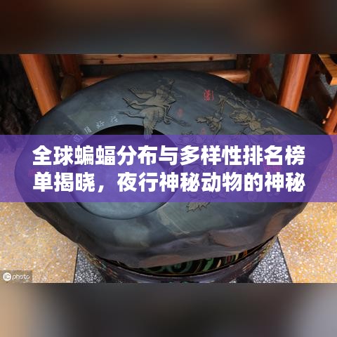 全球蝙蝠分布与多样性排名榜单揭晓，夜行神秘动物的神秘面纱被揭开