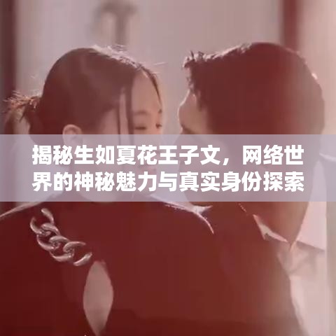 揭秘生如夏花王子文，网络世界的神秘魅力与真实身份探索