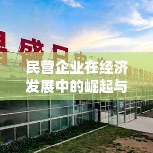民营企业在经济发展中的崛起与贡献，新闻头条揭秘其力量