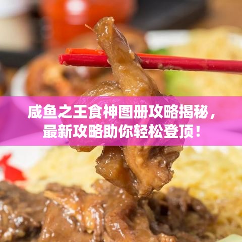咸鱼之王食神图册攻略揭秘，最新攻略助你轻松登顶！