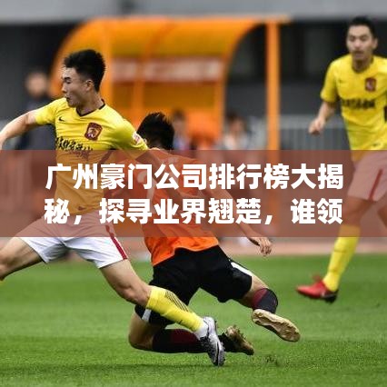 广州豪门公司排行榜大揭秘，探寻业界翘楚，谁领风骚？