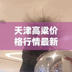 天津高粱价格行情最新走势解析