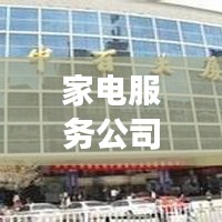 家电服务公司排名揭晓，行业十强深度解析引领市场风潮