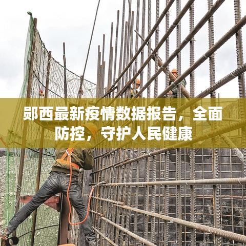 郧西最新疫情数据报告，全面防控，守护人民健康