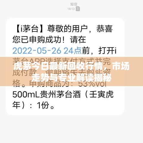 虎茅今日最新回收行情，市场走势与专业解读揭秘