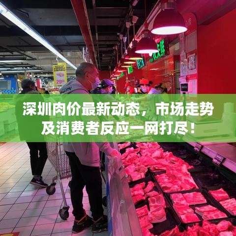 深圳肉价最新动态，市场走势及消费者反应一网打尽！