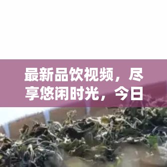 最新品饮视频，尽享悠闲时光，今日不容错过