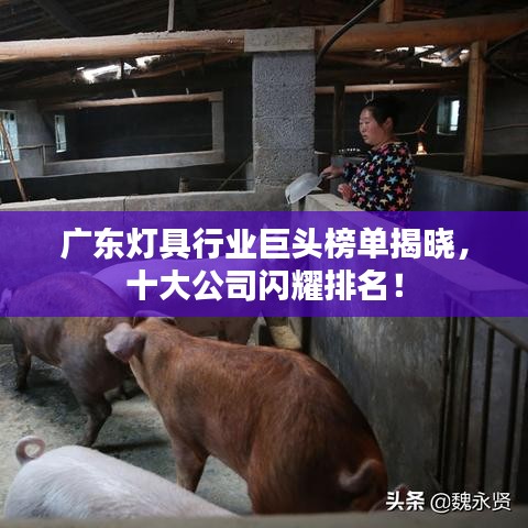 广东灯具行业巨头榜单揭晓，十大公司闪耀排名！