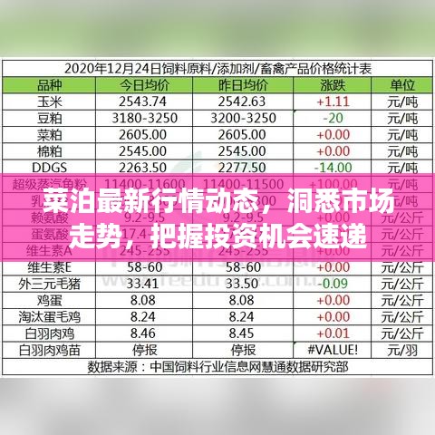 菜泊最新行情动态，洞悉市场走势，把握投资机会速递