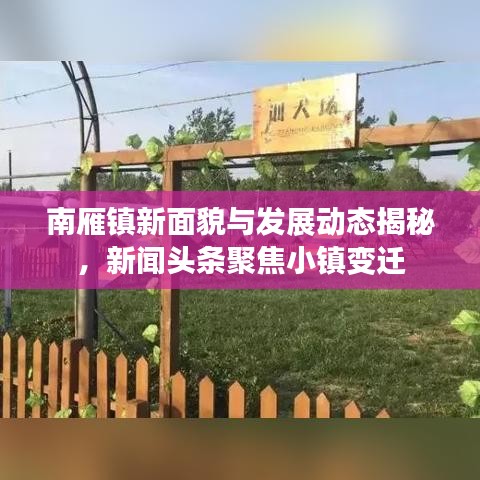 南雁镇新面貌与发展动态揭秘，新闻头条聚焦小镇变迁