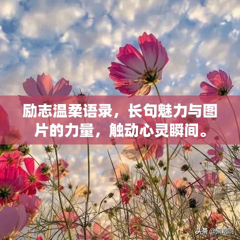 励志温柔语录，长句魅力与图片的力量，触动心灵瞬间。