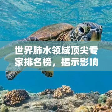 世界肺水领域顶尖专家排名榜，揭示影响力与贡献的权威榜单