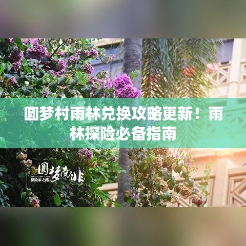 圆梦村雨林兑换攻略更新！雨林探险必备指南