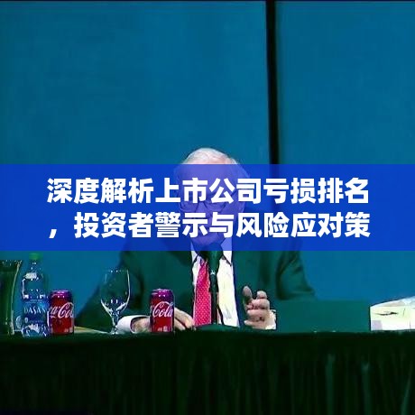 深度解析上市公司亏损排名，投资者警示与风险应对策略