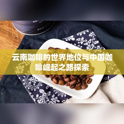 云南咖啡的世界地位与中国咖啡崛起之路探索