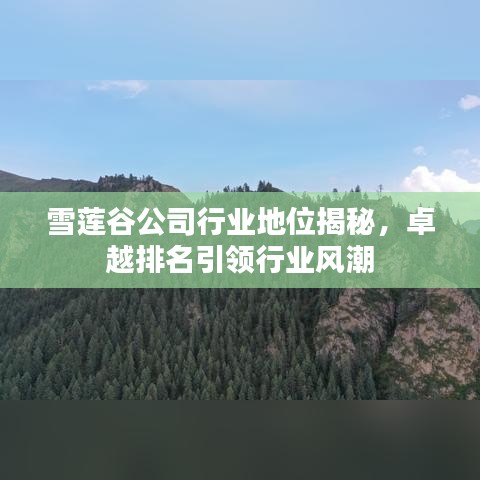 雪莲谷公司行业地位揭秘，卓越排名引领行业风潮