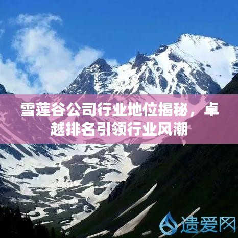 雪莲谷公司行业地位揭秘,卓越排名引领行业风潮