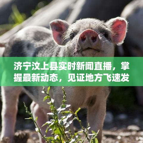 济宁汶上县实时新闻直播,掌握最新动态,见证地方飞速发展